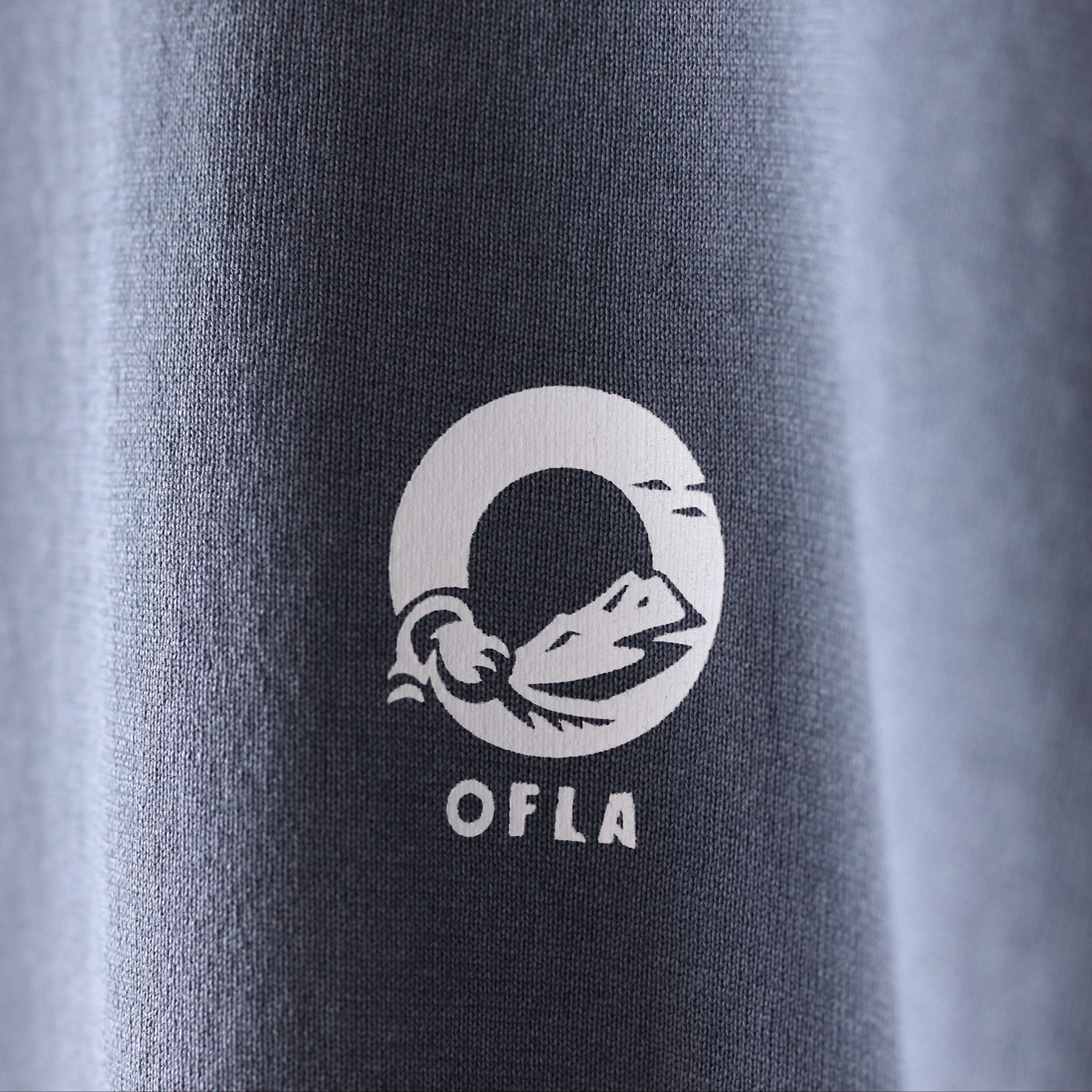 ※藍鼠は光の当たり方で色が変わって見えます