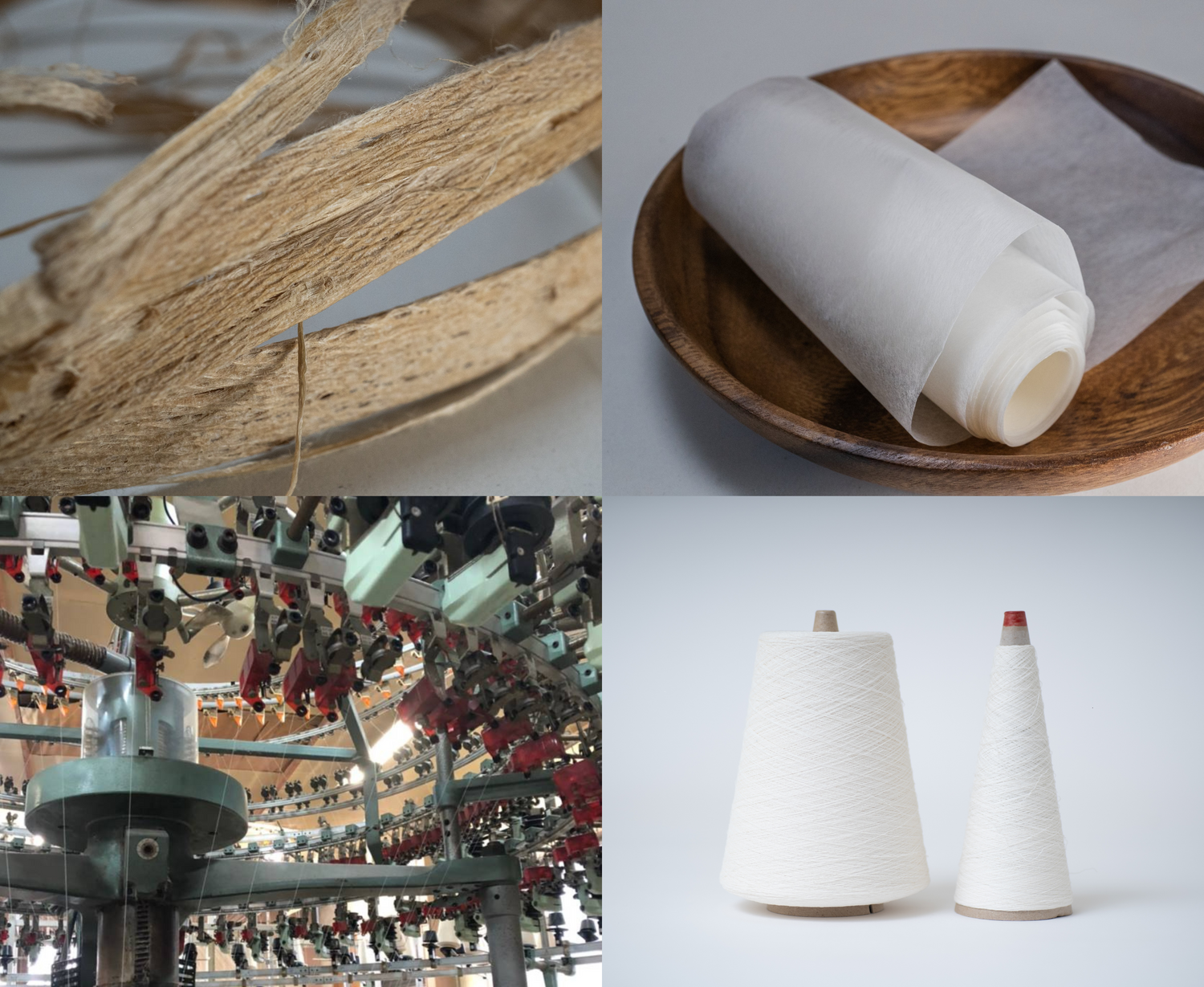 WASHI-TEC：植物から服へ